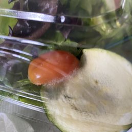 Moldy tomato! Moldy tomato!