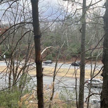Billerica State Forest - Parks Near Me