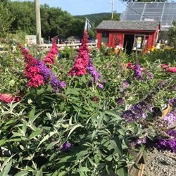 Delaware Valley Farm & Garden Center