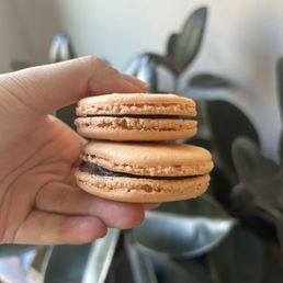 Chocolate Orange Macaron