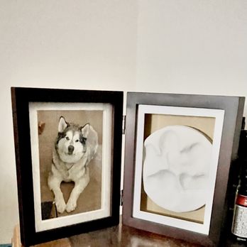 KingFishers Alaskan Malamutes - Pets Near Me KingFishers Alaskan Malamutes - Pets Near Me