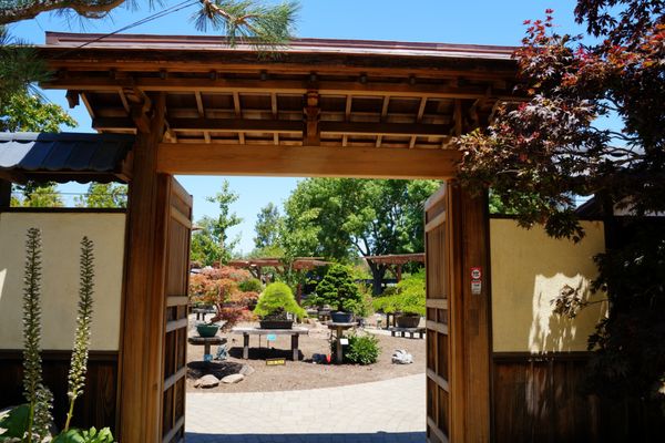 Bonsai Garden by null