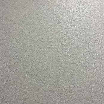 AM Pro Painting - Painters Near Me