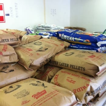 Marietta Seed & Feed - Saw dust! - Pet Stores Near Me - Marietta, Georgia Marietta Seed & Feed - Saw dust! - Pet Stores Near Me - Marietta, Georgia