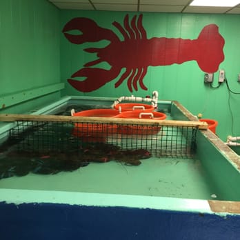 Maine Lobster Express - a lobster in a tank - Seafood Near Me - Bridgton, Maine Maine Lobster Express - a lobster in a tank - Seafood Near Me - Bridgton, Maine
