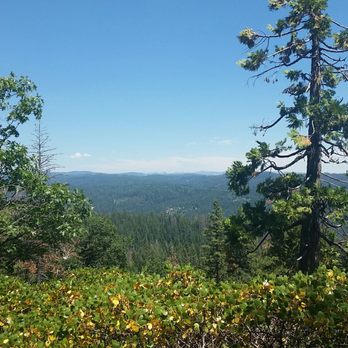 Calaveras Big Trees State Park - Parks Near Me - Arnold, California Calaveras Big Trees State Park - Parks Near Me - Arnold, California