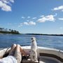 Photo of Carefree Boat Club