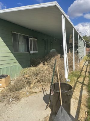 Yard debris removal - Clearing a driveway for a senior citizen Yard debris removal - Clearing a driveway for a senior citizen