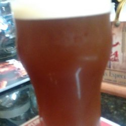 ArtBeer - Kny Red IPA