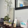 Photo of Helen Hong, DMD - Bayside Family Dentistry