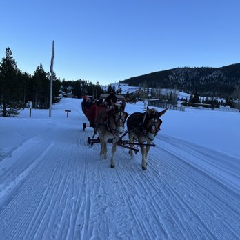 2 Below Zero Dinner Sleigh Rides - New American Near Me - Frisco, Colorado