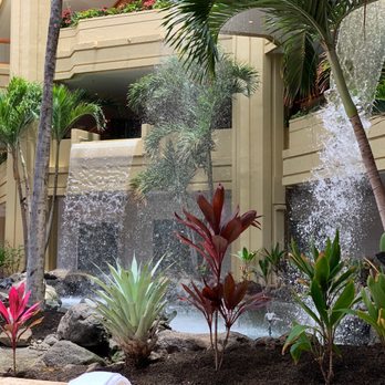 Kai Coffee - Grab a cup of your favorite drink and enjoy the ambience of the waterfall. - Coffee & Tea Near Me - Honolulu, Hawaii Kai Coffee - Grab a cup of your favorite drink and enjoy the ambience of the waterfall. - Coffee & Tea Near Me - Honolulu, Hawaii