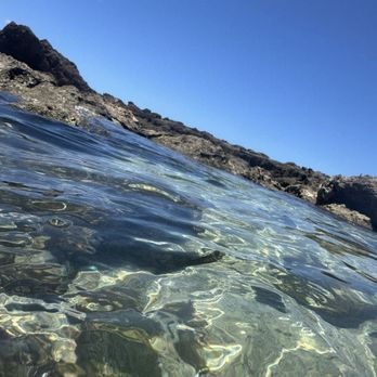 The Surf Bus - Tours Near Me - Honolulu, Hawaii