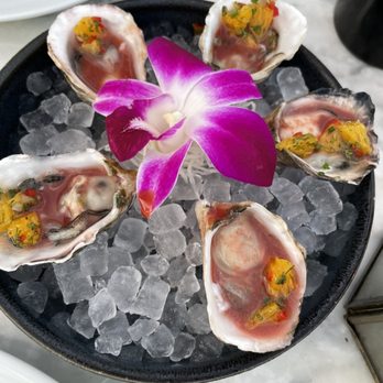 Catch - Oysters - Sushi Bars Near Me - West Hollywood, California