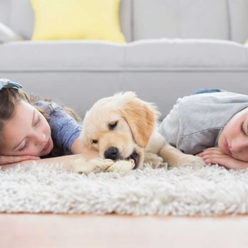 Diamond Coast Cleaning - Carpet and Upholstery Cleaning - Home Cleaning Near Me - Dana Point, California Diamond Coast Cleaning - Carpet and Upholstery Cleaning - Home Cleaning Near Me - Dana Point, California