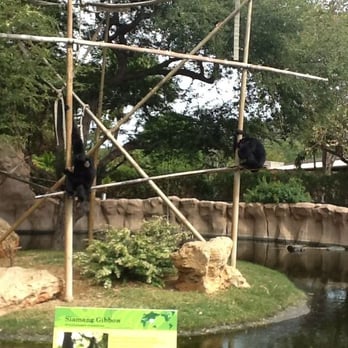 Honolulu Zoo - My cousins! - Zoos Near Me - Honolulu, Hawaii