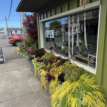 Curious Plants and Treasures - Lovely exterior plants - Nurseries & Gardening Near Me - Cloverdale, Oregon Curious Plants and Treasures - Lovely exterior plants - Nurseries & Gardening Near Me - Cloverdale, Oregon