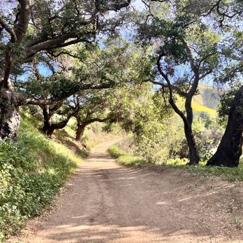 Harmon Canyon Preserve - Peaceful walks - Hiking Near Me - Ventura, California