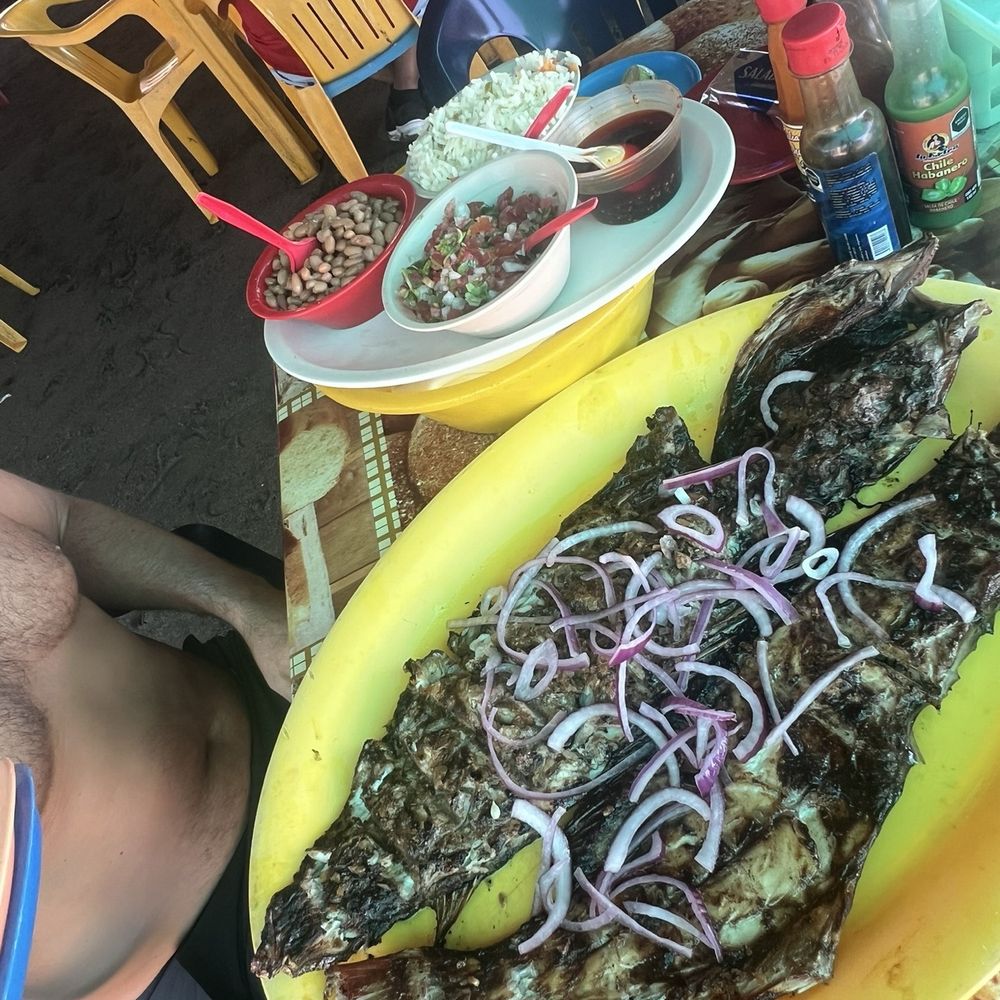 Boca de Tomate - Seafood Near Me - Puerto Vallarta, JAL Boca de Tomate - Seafood Near Me - Puerto Vallarta, JAL