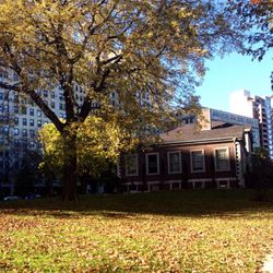 Autumn afternoon in the sun, walking to Lincoln Park Cultural Center.