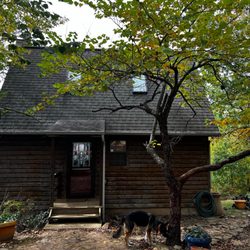Still Point Cabin- OZK Cabins - Sweet little 1 bedroom 1 bath cabin!