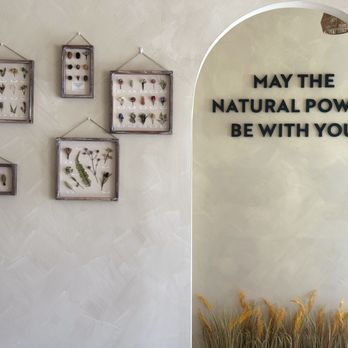 An Organic Spa - Massage Near Me - Watertown, Massachusetts An Organic Spa - Massage Near Me - Watertown, Massachusetts