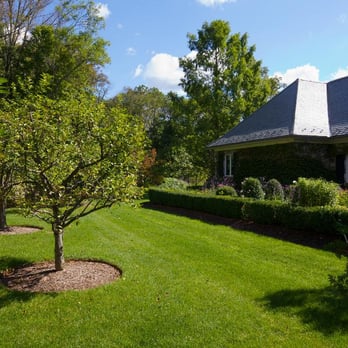 Precision Tree Care - Tree Services Near Me Precision Tree Care - Tree Services Near Me
