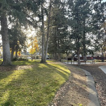 Juniper Park - trees in the park - Tennis Near Me - Bend, Oregon