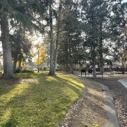 Juniper Park - Trees in the park