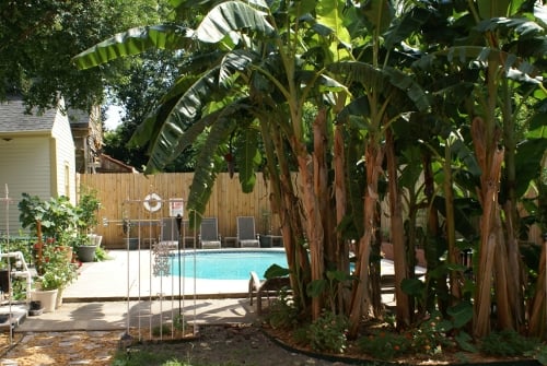Macarty House by null