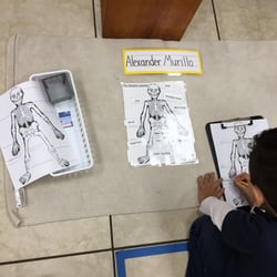 Montessori Learning Center - Science lesson