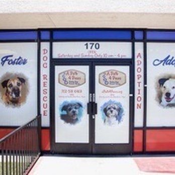 A Path 4 Paws - Animal Shelters Near Me - Amargosa Valley, Nevada