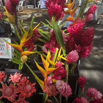 Honolulu Farmers' Market - Farmers Market Near Me - Honolulu, Hawaii