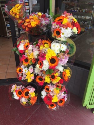 Santa Clara Organic Market by null