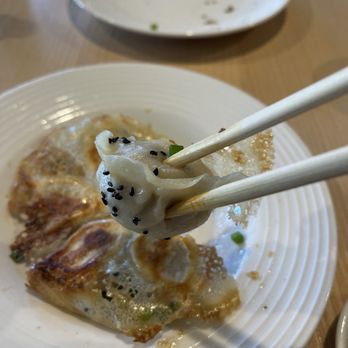 Dumpling Bar - beef potstickers - Chinese Near Me - Encinitas, California