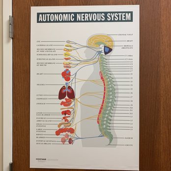 Beyond Innovation Chiropractic - Chiropractors Near Me - Frisco, Texas Beyond Innovation Chiropractic - Chiropractors Near Me - Frisco, Texas