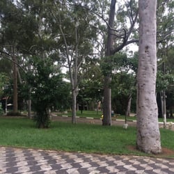 Praça Horácio Sabino - Pode trazer o dog
