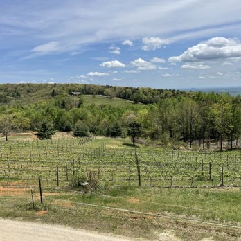 Terra Incognita Vineyard - View from tasting room porch - Venues & Event Spaces Near Me - Clarkesville, Georgia