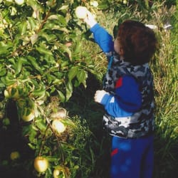 Country Hills Montessori