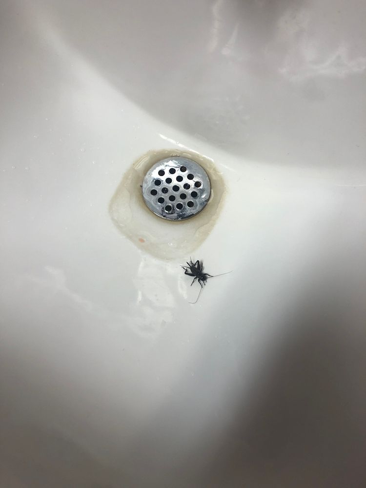 QUALITY SEW & VAC Updated August 2024 10 Photos 1004 N Diers Ave