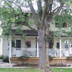 Queensway Landing Bed & Breakfast - Queensway Landing