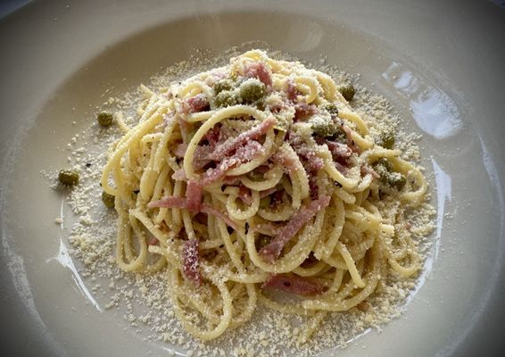 Lucca by null