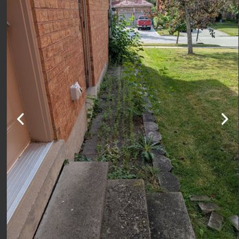 Realscape - Before (weeding) - Snow Removal Near Me