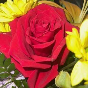 Rogarry's Floral & Events - Florists Near Me - Dundee, Florida Rogarry's Floral & Events - Florists Near Me - Dundee, Florida