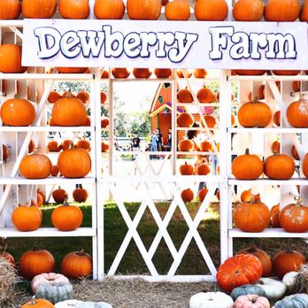 Dewberry Farm - Dewberry Farm - Pumpkin Patches Near Me - Brookshire, Texas Dewberry Farm - Dewberry Farm - Pumpkin Patches Near Me - Brookshire, Texas