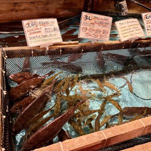 すし居酒屋台所家 渋谷本店>