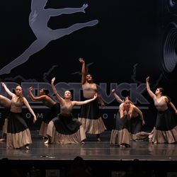 The Dancer's Institute