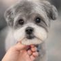 Photo of Fluffy Puppy Pet Grooming