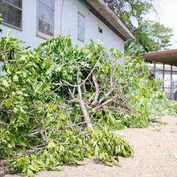 Oak Arbor Care - a tree that fell on a house - Tree Services Near Me Oak Arbor Care - a tree that fell on a house - Tree Services Near Me
