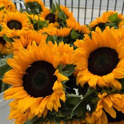 New Era Flowers Wholesale
